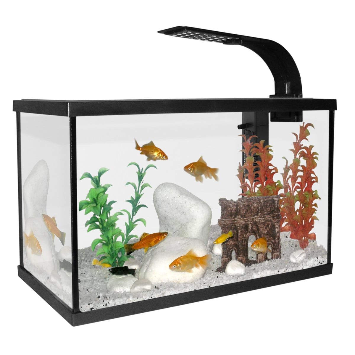 Filtre intérieur pour aquarium d'eau de 5 à 20 litres