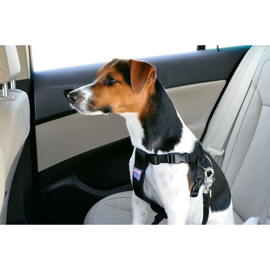 Harnais et ceinture de sécurité voiture, taille xl, pour chien.