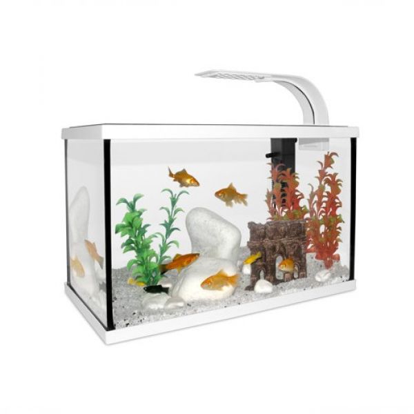 Filtre intérieur pour aquarium d'eau de 5 à 20 litres