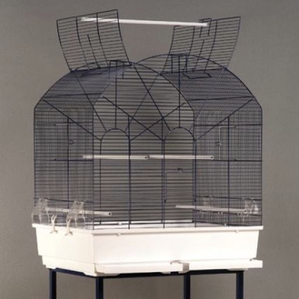 Cage Perroquet sur Pied