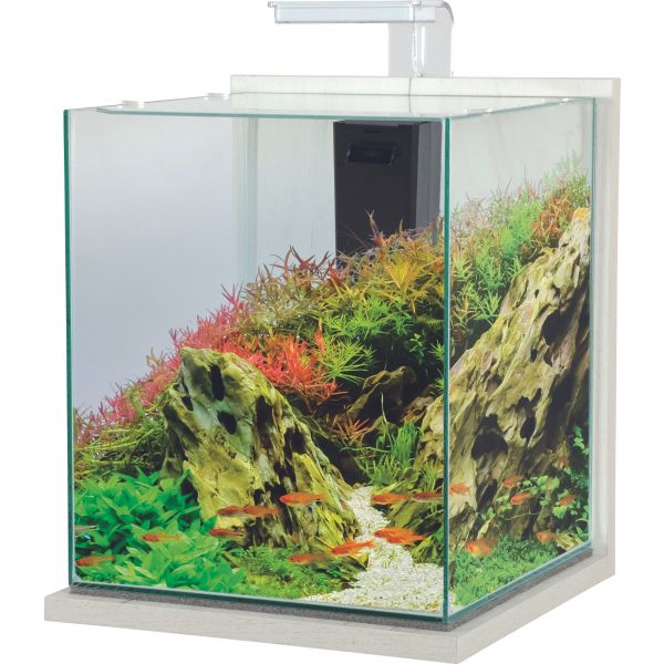 Vente de petit aquarium en ligne, aquarium de petites dimensions