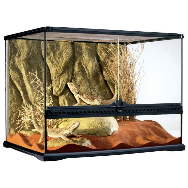 Animaux Reptiles Déco & accessoires Accessoires terrarium 