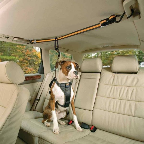 Attache chien voiture de sécurité Zip Line Kurgo – Animal Valley