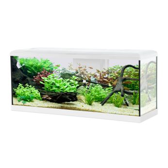 Aquarium poisson Tana LED 100cm blanc - Zolux
