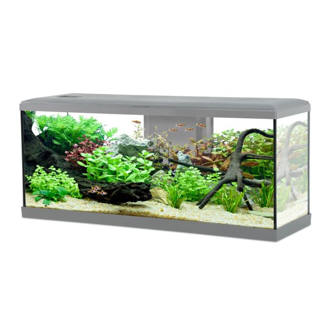 Aquarium poisson Tana LED 100cm gris - Zolux