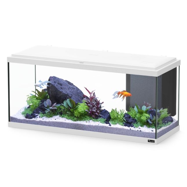 Aquarium poisson Explorer Amsterdam Bio 85L blanc - Aquatlantis