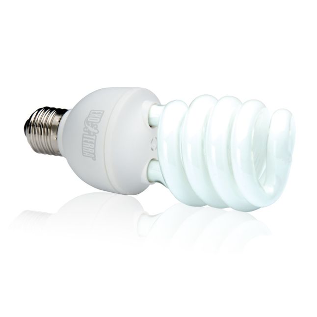 Lampe reptile UVB100 26W Repti Glo 5.0 Compact - Exo Terra
