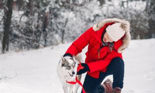 Niches en extérieur : comment protéger mon chien du froid ?