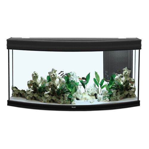 Aquarium poisson Aqua Fusion Horizon 120x50 LED 2.0 noir – Aquatlantis