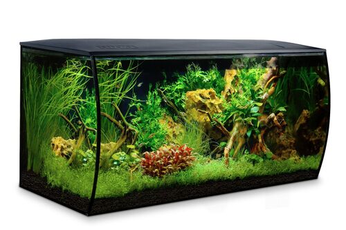 Aquarium Equipé FLEX 123 Litres Noir - Fluval 