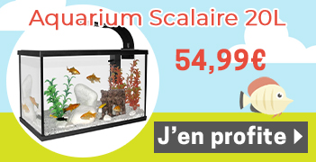 Aquarium poisson équipé 20 litres Scalaire 40 noir - Capac
