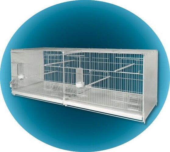 Cage d'élevage 120 cm BORMIO blanche pour oiseaux - 2GR