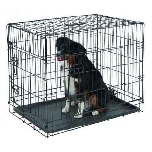Cage de transport pour chien en voiture