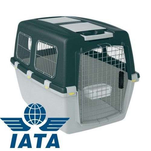 Caisse de transport pour chien homologuée IATA