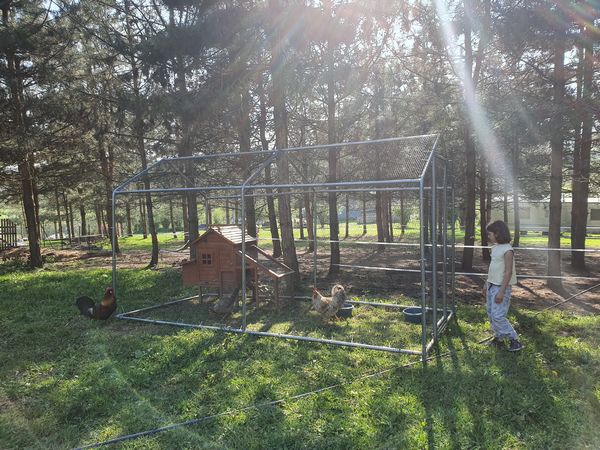 comment créer enclos poules