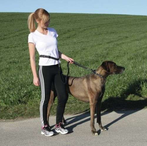 Laisse de jogging active avec ceinture pour chien